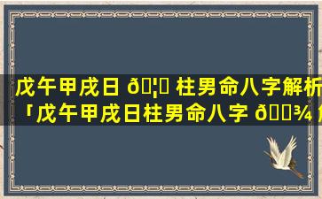 戊午甲戌日 🦟 柱男命八字解析「戊午甲戌日柱男命八字 🌾 解析大全」